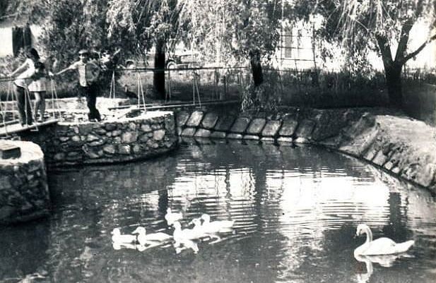 ������� � �������. ��� ������� � ������ 70-� ����� � ������ ������������