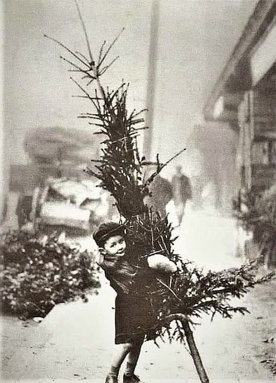 ��������� ������� ��������� ������� ���� ���� �����, 1901 ���