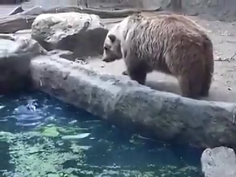 ����� ������������ ������ �� �����