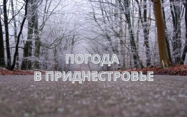 11 ������� ��������� �������� ������, ��� ������������ �������