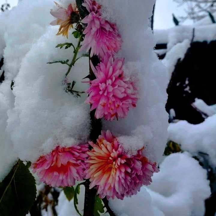 ������� ����� ����.. ���� ������� ���������