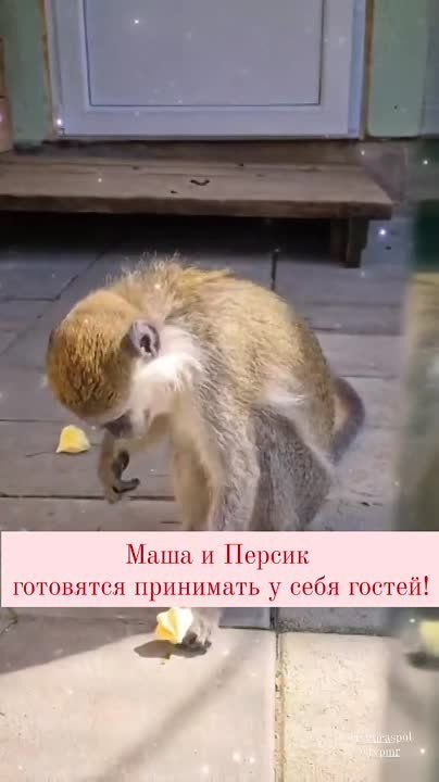 �����������, ���� � ������ �������� ���������� � ��������� ���������� �������� � �� ����