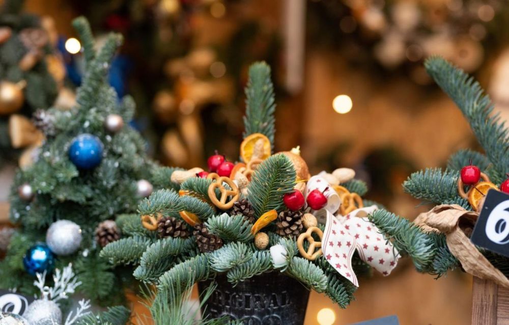 � 15 ������� � �������� ��������� ���������� ������