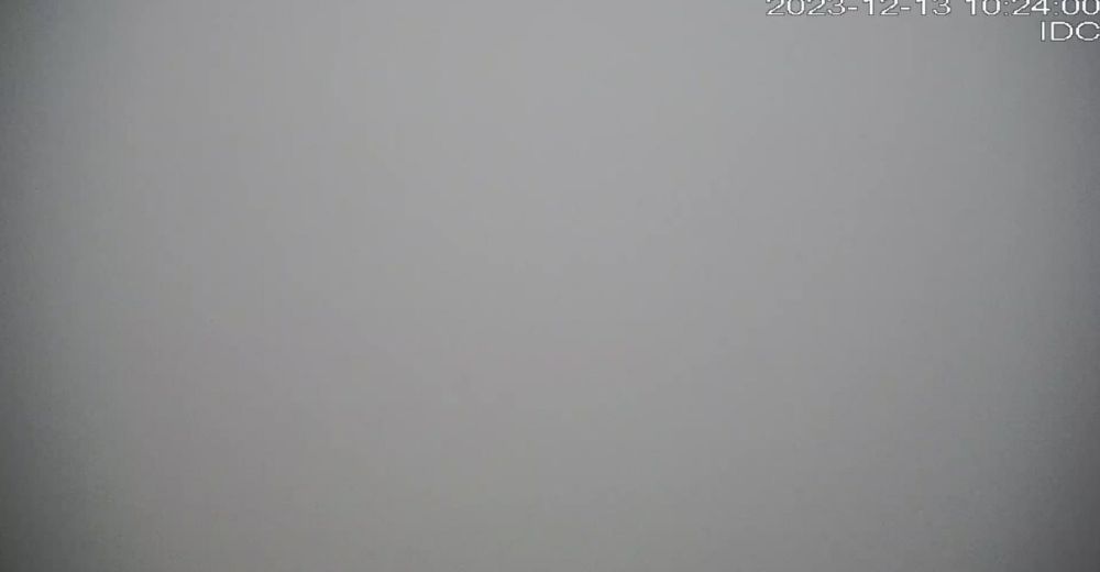 ����������, ������?