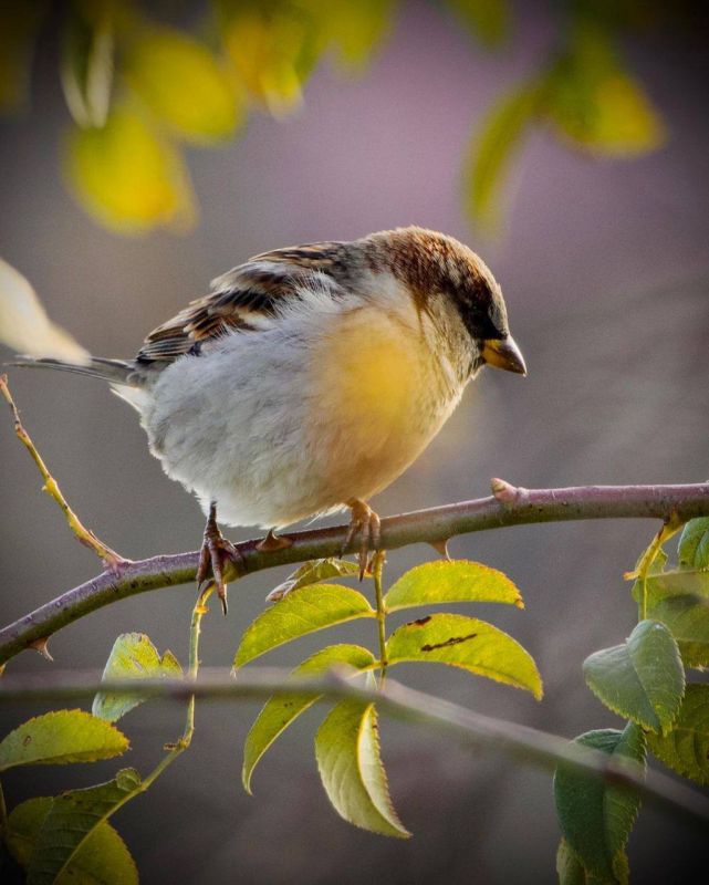 ���������!. ���� ������ ����������