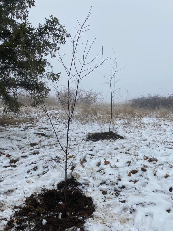 30 �������� �������� ������� �������� � ��������