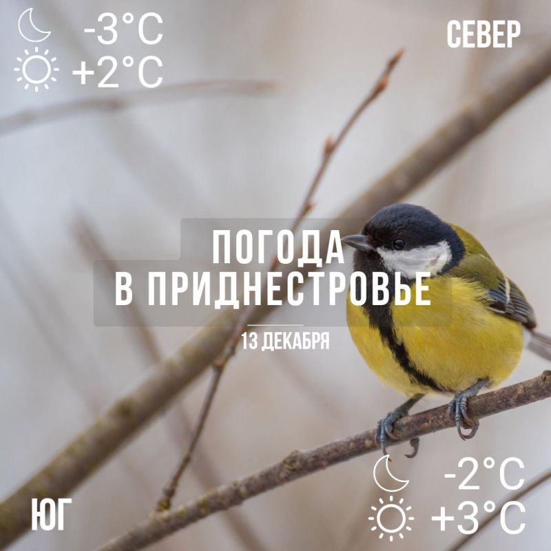 ����� � �����, �� ������� � ��������