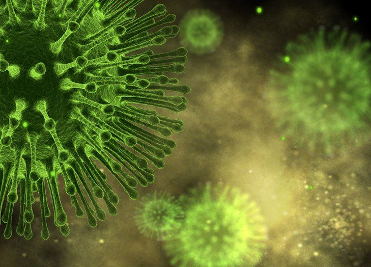 �� ������� ������ ���������������� 4434 ������ ����������� �����