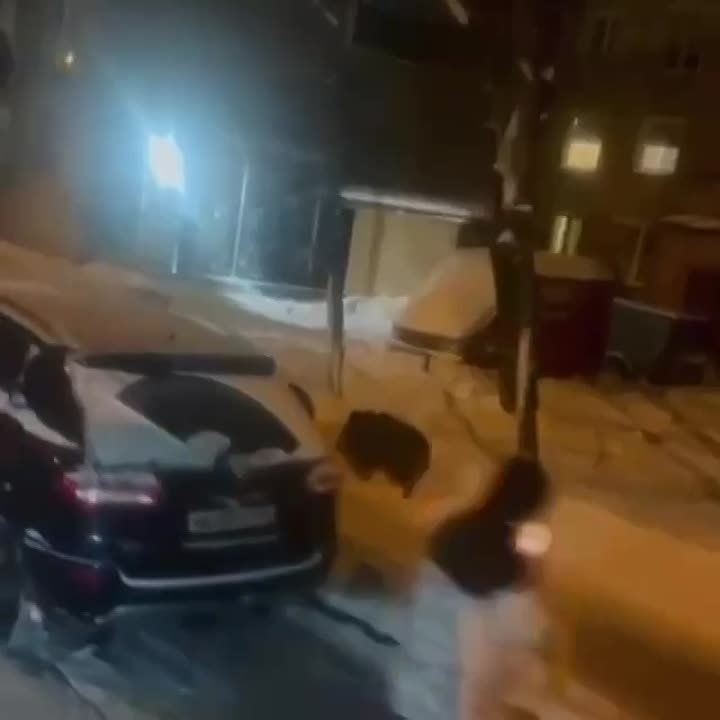 ��� ���� � �����������. ���� �� ������������� �������� � �������