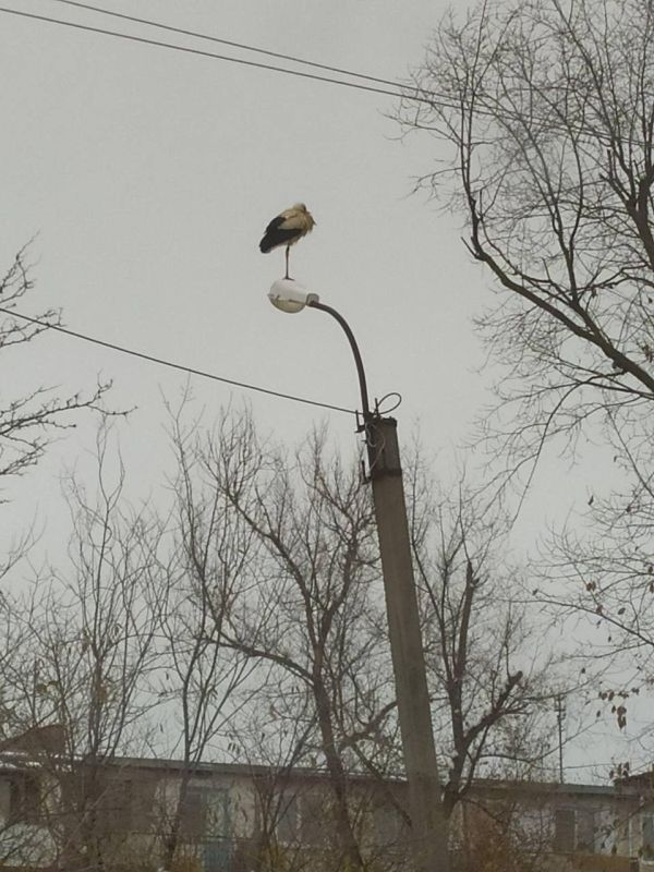 � �������� �� �������� ����� ���� ��� ��� ����� ����