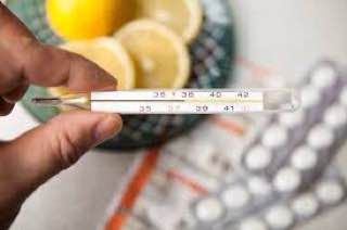 ���: ������������������ �������� ����������� ��� ����������� �������������