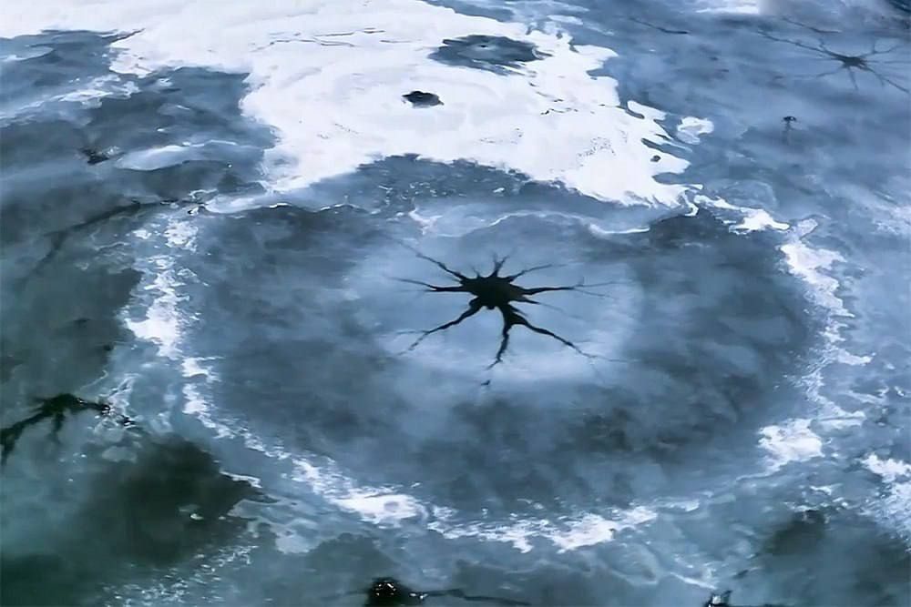 � ����� �������� ����� �����