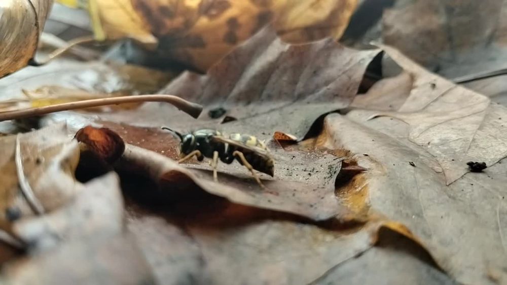 � ��������� ���������� ���. �� ����� +10. �� ��������� � 14 �������