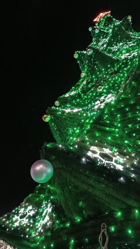 ������ ����������� ���� - � ���������� ���