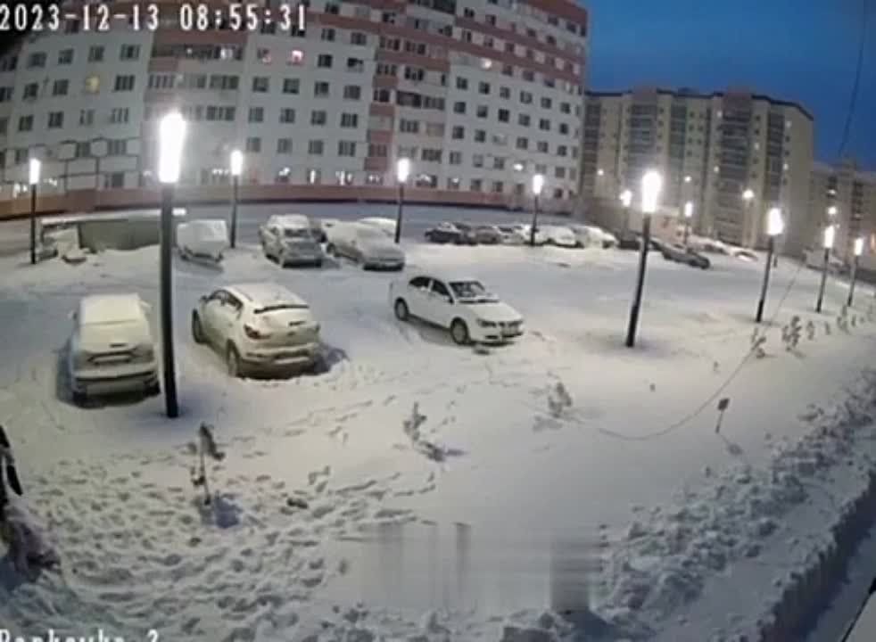 ������ ���� �� ��������� ��������� � ����� �������