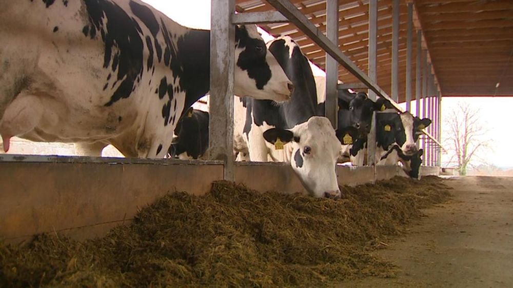 ��� ������� ������ ��������� �� ����� � ��������� � ���. 40 �����, ��� ����������� ������