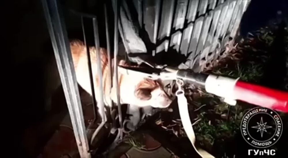 � ���������� ������ �������� � ������ � �������