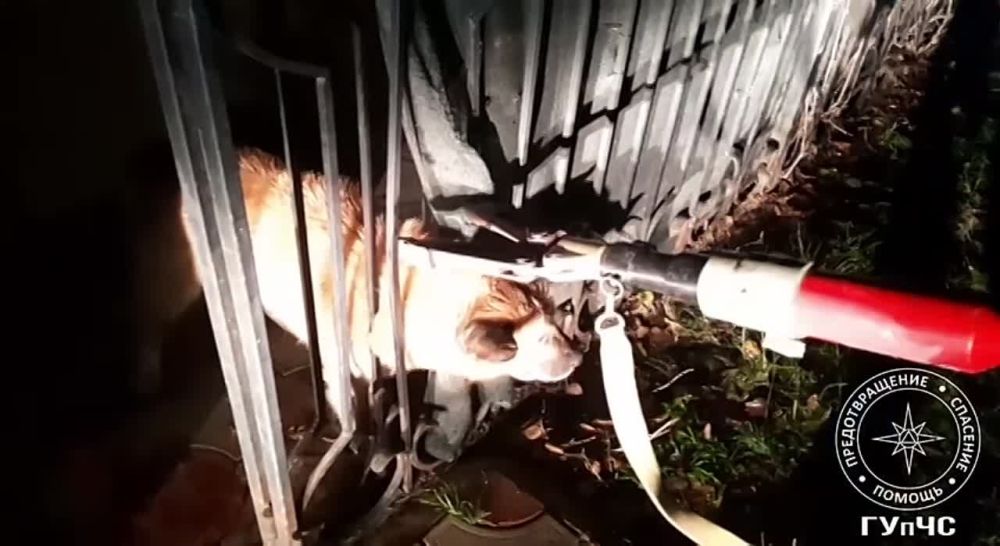 ��������� ���������� ���� ����� � ����