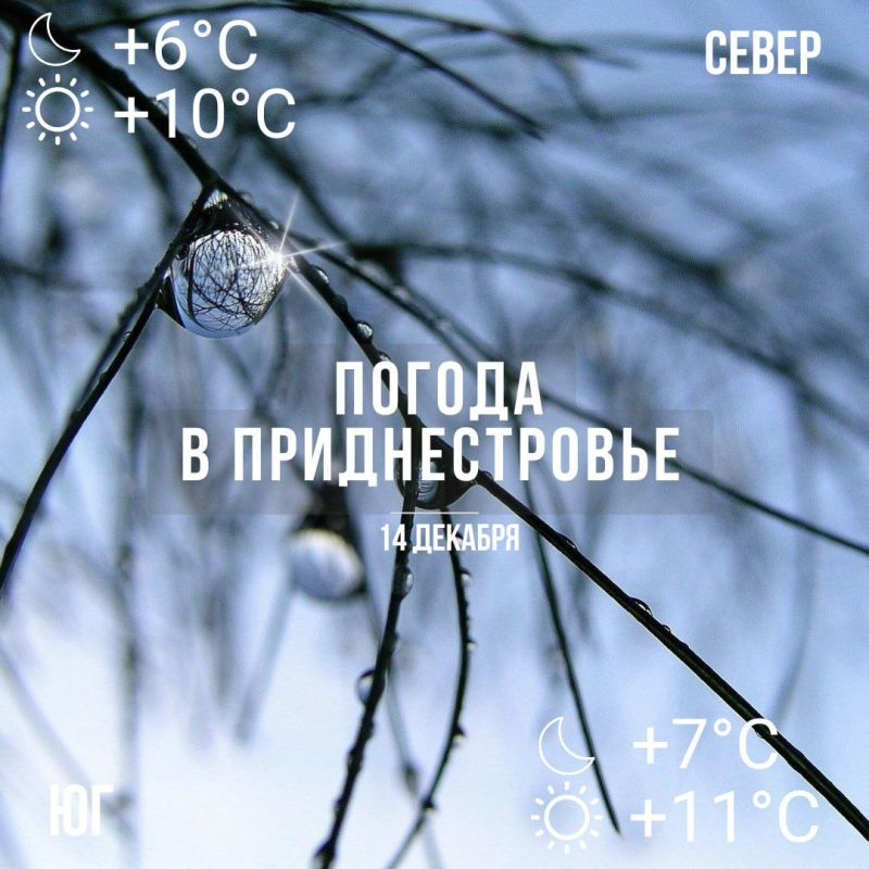 �������� ������ ��������. ���� � ��������������� �����, �� +11��