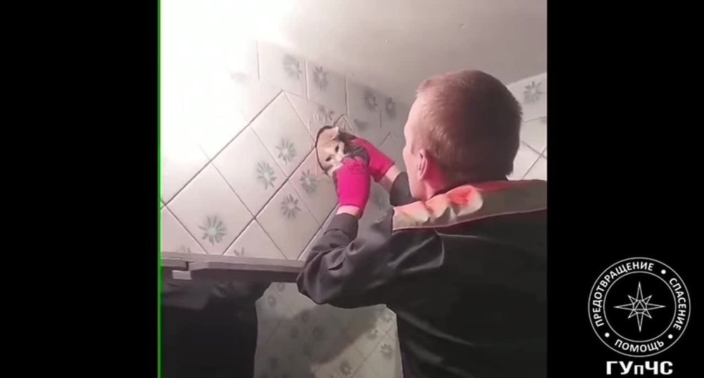 ��������� ��� ��� ��� �������� � �������������� ����� �� 15-� �����, ���� ��� �� �������� ���������