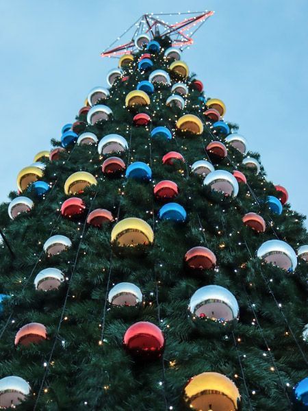 27 ������� � ���������� ������� ������������� ����