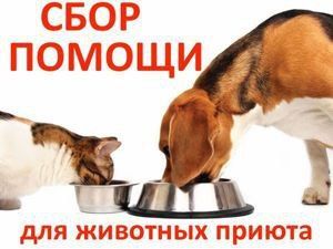 ������ ����� � ������ ������!