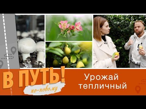 ��� � ������� � �� ����! ��-������. �����, ����� � ���������� � ��������������� ��������. ���� � ����������� ������� � ���