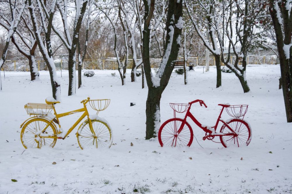 ���� ���������� �������. ���� �� ������ ����� ����, ���������� �������� � ������ ���������