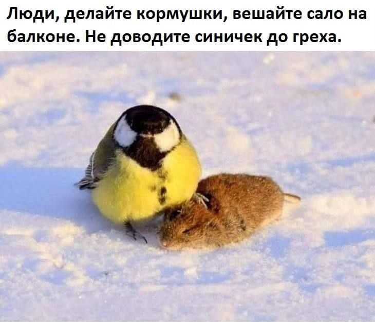 ��������� �������������� ����������, ������� �������� ��������� ������ � ����������� ����� � ������ �� ����� �� ����� ���������� ������