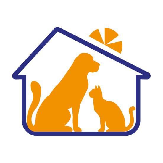 ������ ����� � ������ ������!