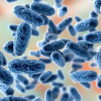 �� ��� � ������������� �������� 22 ������ �������