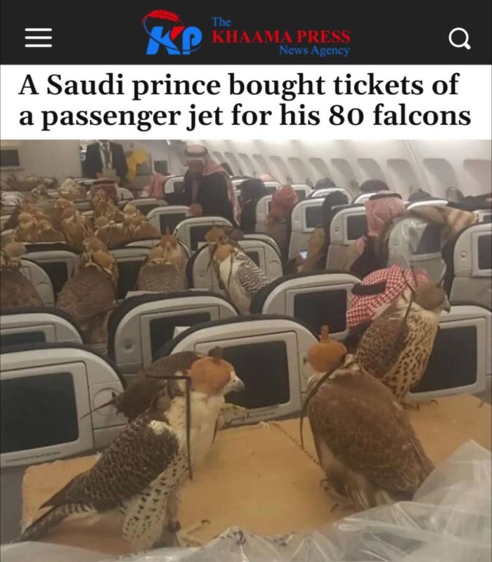 ������-����� ��� 80 �������