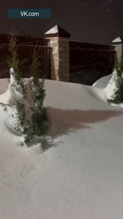 � ����������� ������ ������ ������