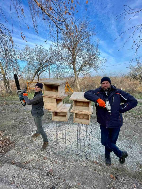 �������� ����������. ��������������� ������� �� ������ ������� ��������� � ��������� ���������� ������ ��� ������ ����. �����������-�������� ���������� �� 7-10 ���. ������ ����� ��������� ������ �������� � ��� � ����� ����������� ���������