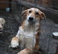 17 ������� � ������� ������ ����� � ��������� ��������� ��������