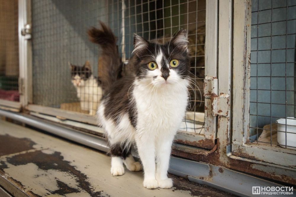 ������ �� �����