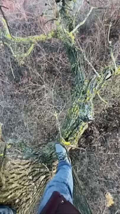 ������ ���� �������� ����������