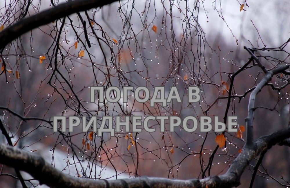 16 ������� ��������� ���������� ����������, ��� �������