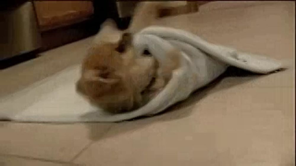 ������ ���������!. ����� 0�� � �������� �������� �� �������. ��� � ������� ����������� � ������� � ���������