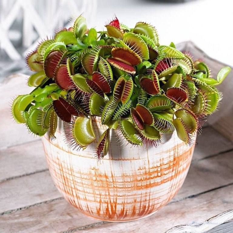 ������ ������, ����, �������� ������� ��������� ������������ ��������� � ������, ������ �� �� ���� �� ���� �� ������� ��������� ������ ��������� ������������ ������������