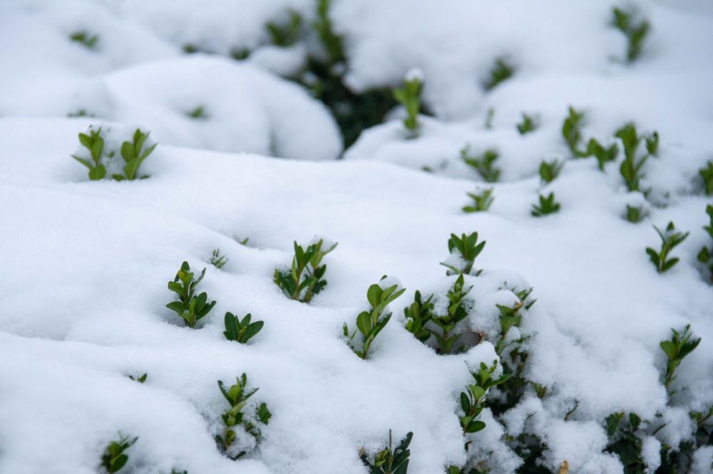 ����� ������ ���� � ����� � ���� �����, ����� ������������ ����, ��������� �������� ����