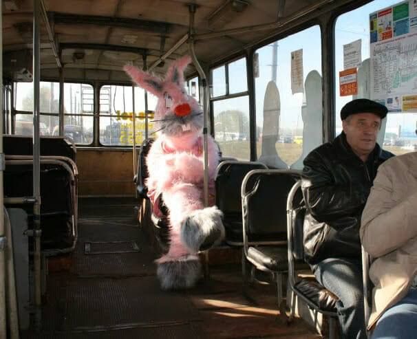 ������ ����������� ������ ������� � ������������ ���������� � ���������� ���, �� �������, ������� ������������ � ����� � 2024 ����, ��� ����� ������������? ����������� �� ���� ����� �������� � ������ ������� � �����������