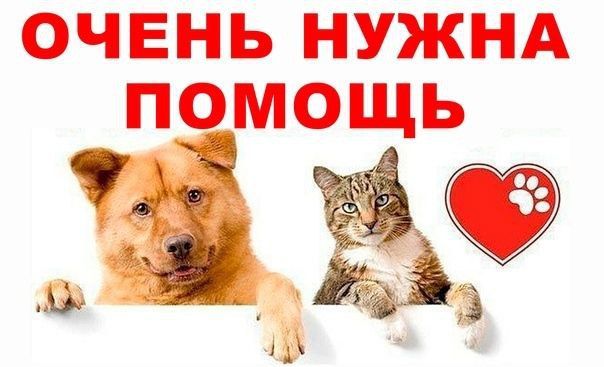 �������� ����� � ����� ������