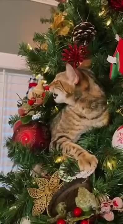 �������� ����������� ���������� �������.