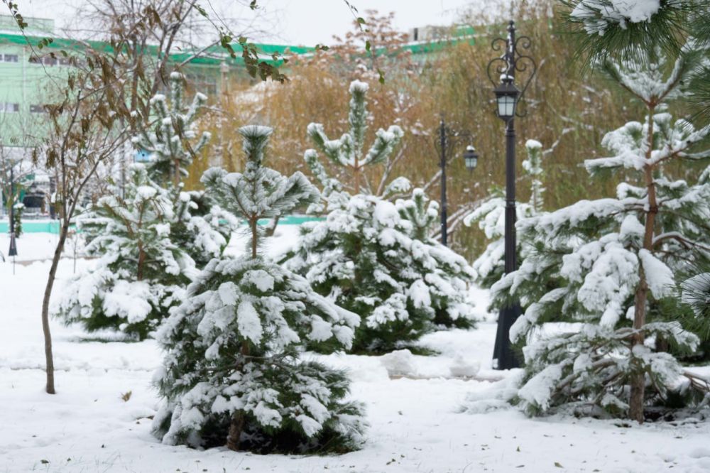 ���� ���� �� ������������ ��� ����, �� ��� ���. � ���� � �� ����