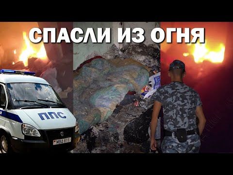 ���������� ��������� ���������-�������� ������ ��� �. ������� ������ ��������. ������� ����� �������� � ��������. ����������� ������� ��������� �� ����� � ������� ������� �� ����