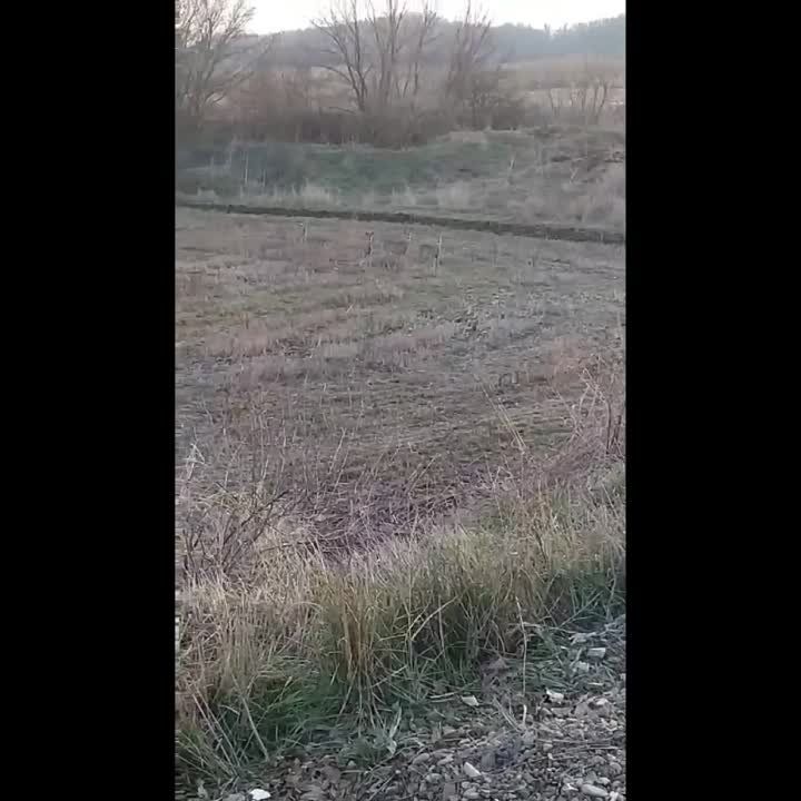 ������ � ���������� ����, ����� ����������� ������