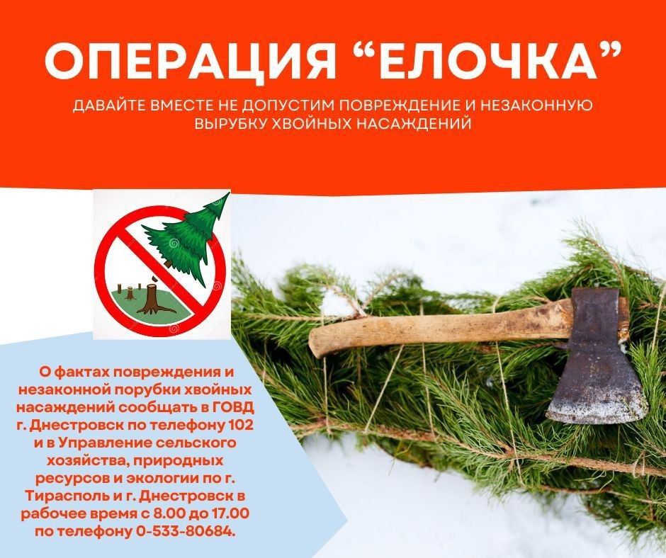 �������� �������. ��� ������ ������� ���������� � ������ ���������� � �������������� ���������� ���������� ���������� ������� ���������� ���