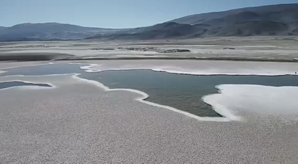 � ��������� ����� �����, ������� ����������, ����� ���� ������� ��������� ��� �����