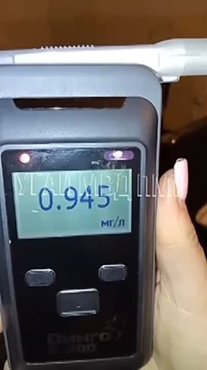 ���������� ����� 5 �������� ���� � ��� �� ����